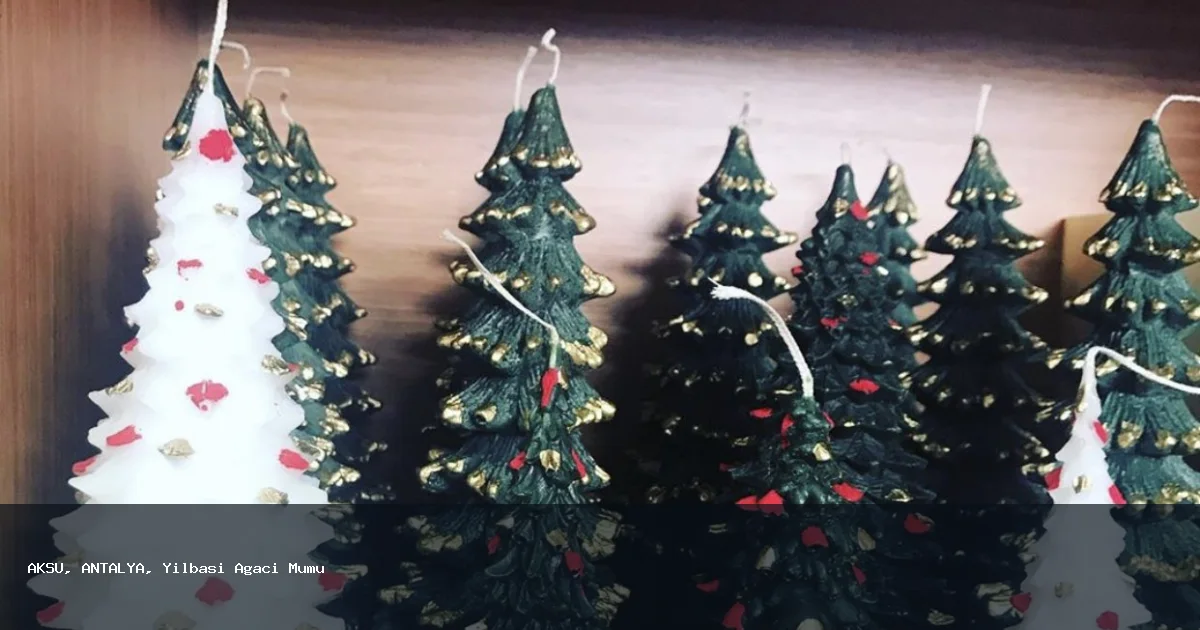 AKSU Bölgesinde Yılbaşı Ağacı Mumu Hizmeti
