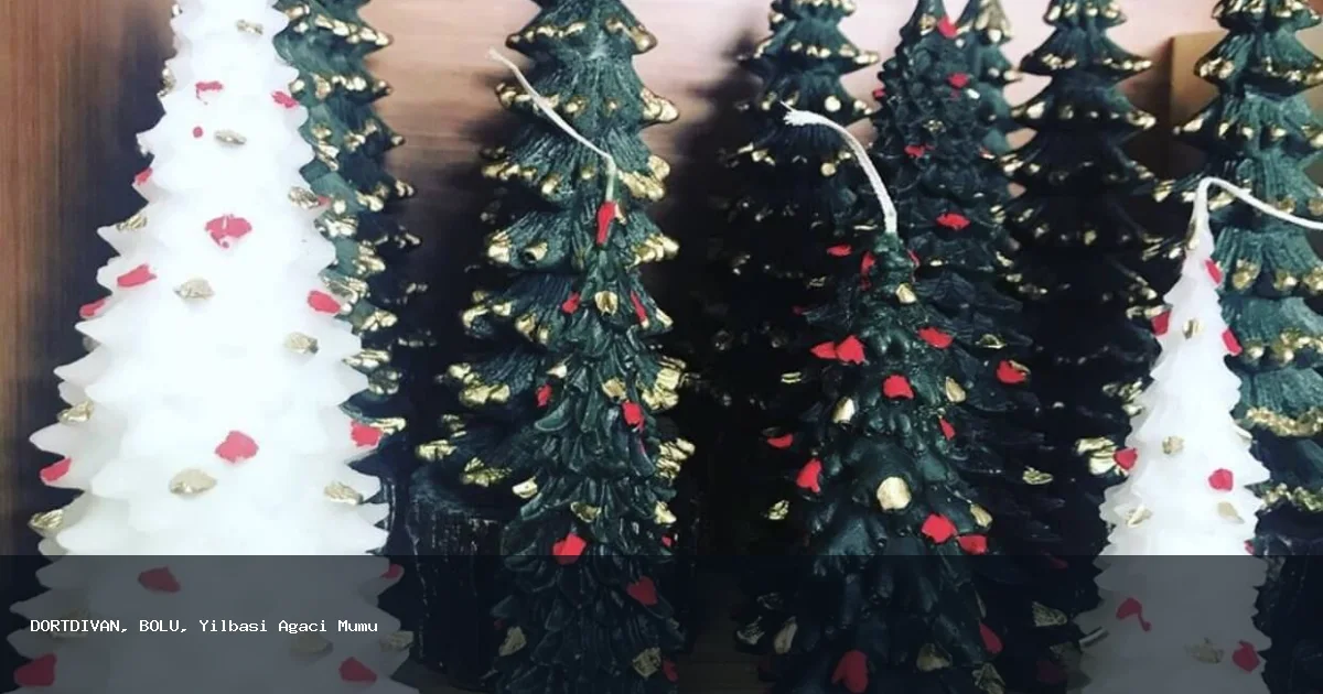 DÖRTDİVAN Yılbaşı Ağacı Mumu Hizmeti