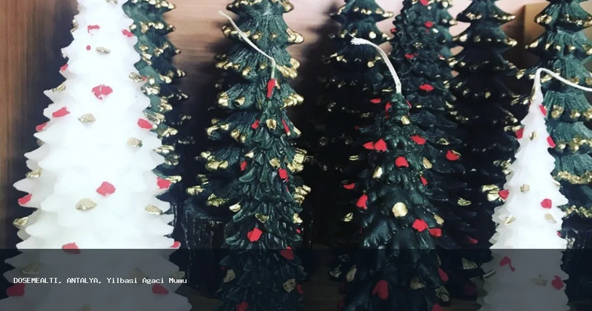 DÖŞEMEALTI Yılbaşı Ağacı Mumu Hizmeti