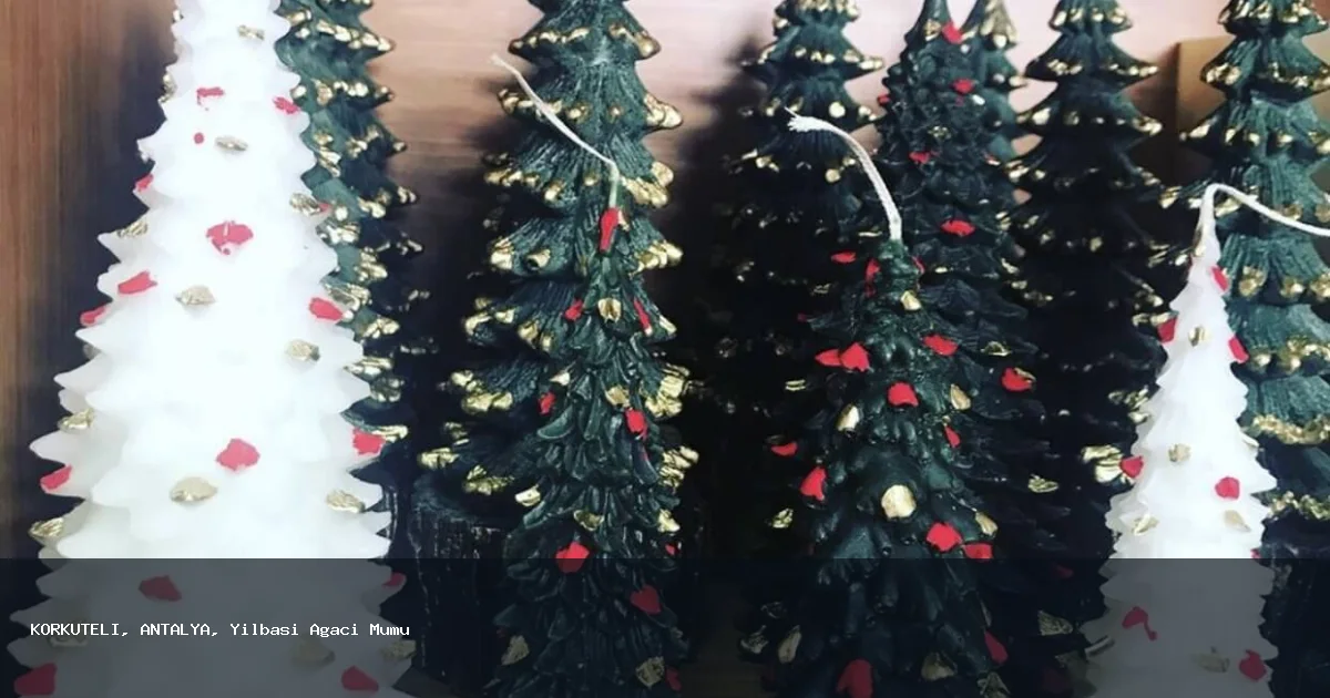 KORKUTELİ Bölgesinde Yılbaşı Ağacı Mumu Hizmeti