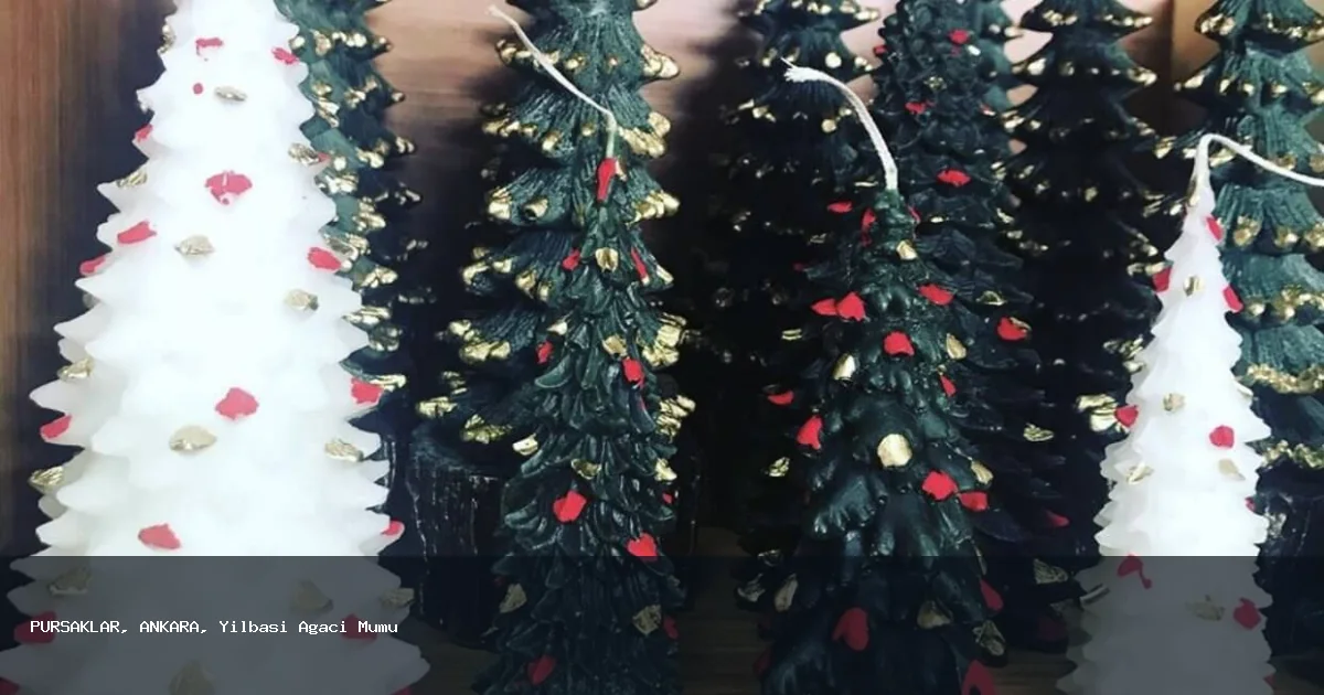 PURSAKLAR Bölgesinde Yılbaşı Ağacı Mumu Hizmeti